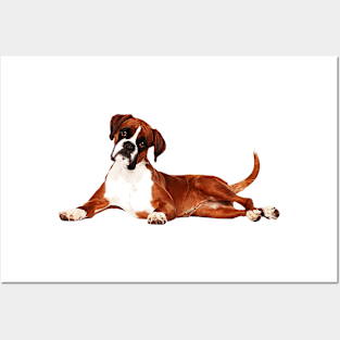 Adorable Boxer Dog Posters and Art